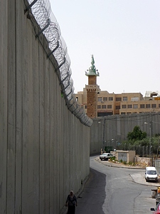 Wall and Mosque, Palestine